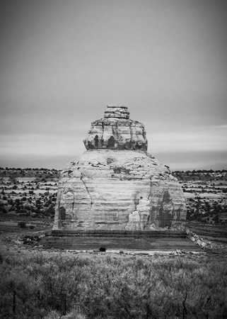 Arizona Shaped B&W