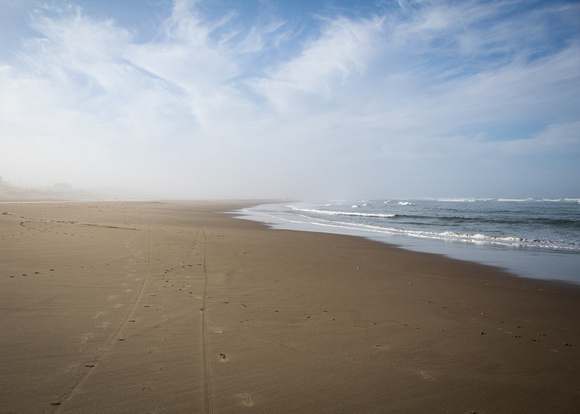 A Walk to the Mist