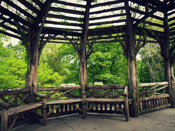 Tree House