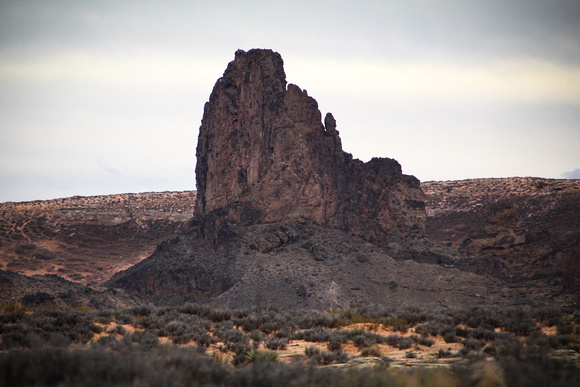 Arizona Black